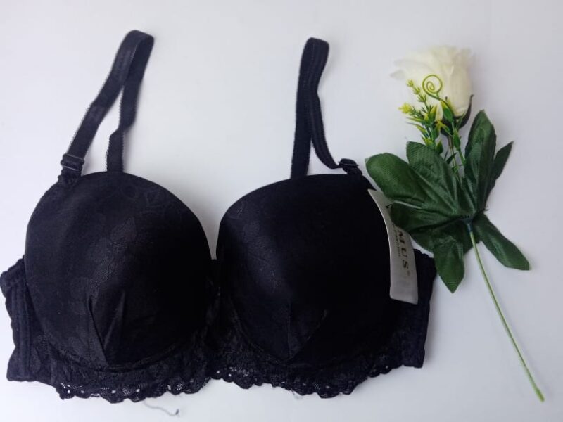 Black Color Sexy Padded & Embroided Bra