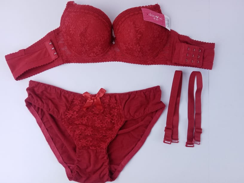 Red Padded & Embroided Bra & Panties Set