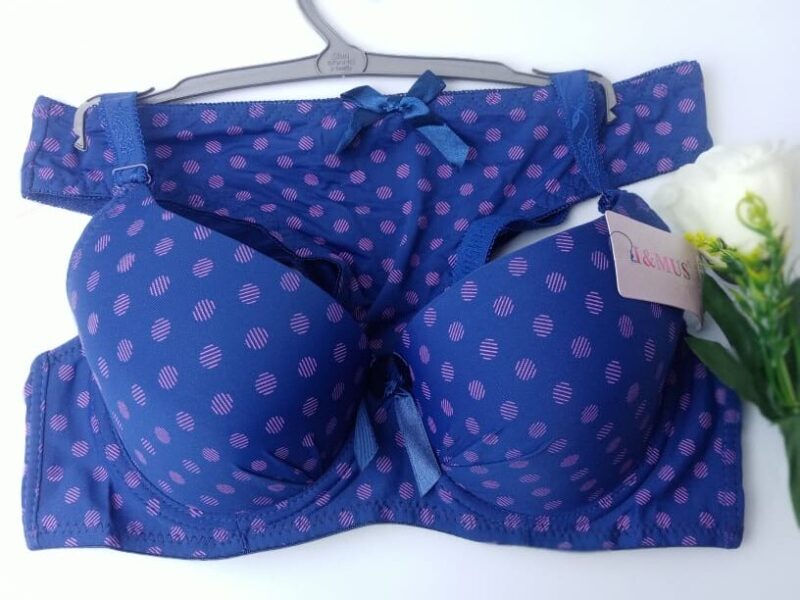 Sexy Padded Blue Bra & Panties Set