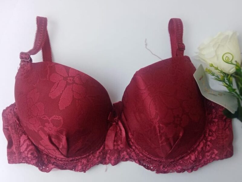 Sexy Padded Dark Mahroon Embroided Bra